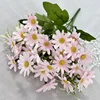 Rosa chiaro 02