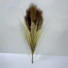 Verde amarillo claro-85cm-marrón oscuro-caña de cinco cabezas