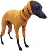 Amarillo