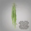 100cm