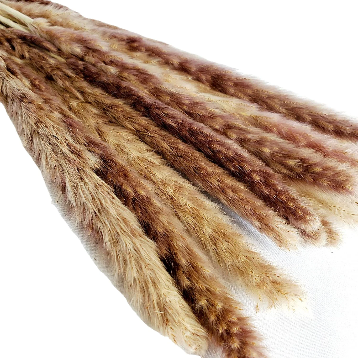 45cm natural dried pampas grass 30pcs for flower arrangements