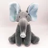 Gray blue ear