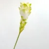 Verde claro