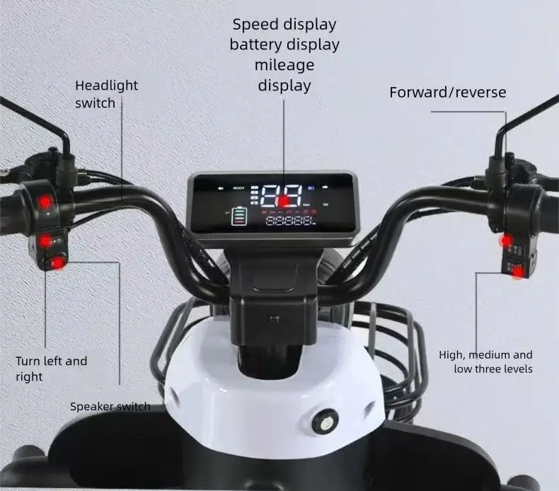 Electric Tricycle 3-Wheeler Scooter 1000W Motor 140km Range for Adults Cargo & Passenger