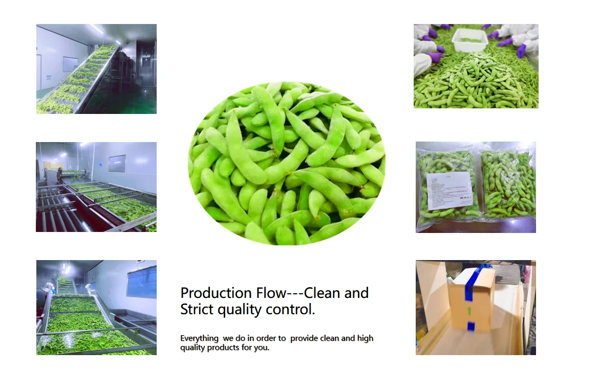 Bulk Cooking Soybeans Frozen Edamame Shelled In Pods Iqf Freezing