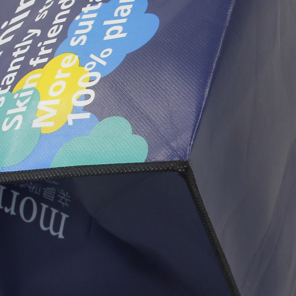 Top Quality Non Woven Insulated Takeaway Bag Selfadhesive Picnic