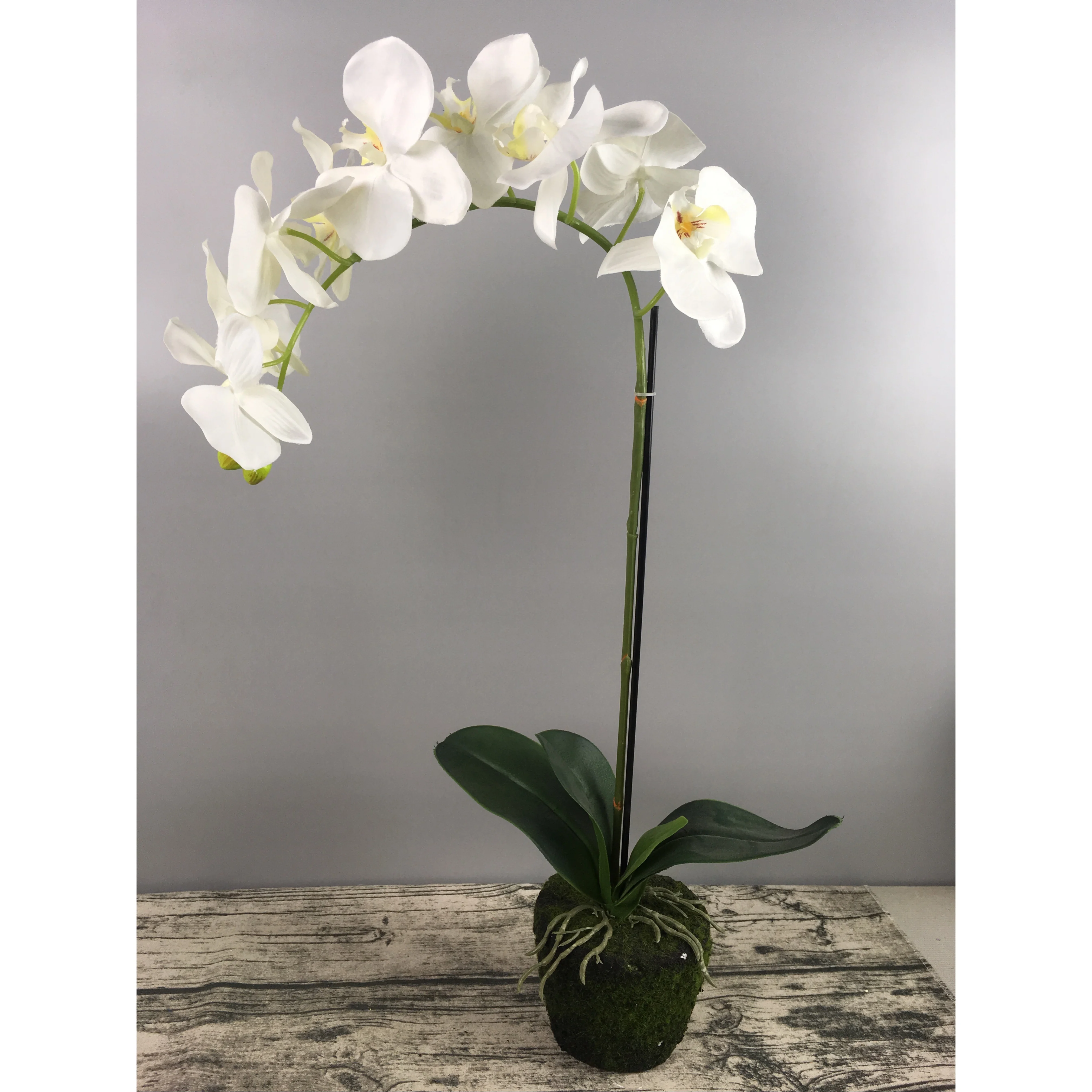 Factory Direct Artificial Flowers Phalaenopsis Orchid Artificial Flower  Orquidea Bonsai - Buy Real Touch Latex Flowers Artificial Orchid,Artificial  Latex Flowers Orchids,Orchid Flowers Artificial Product on Alibaba.com