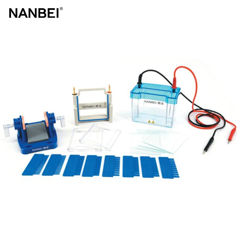 NANBEI Medical Lab Double Vertical Protein Gel Electrophoresis Apparatus System