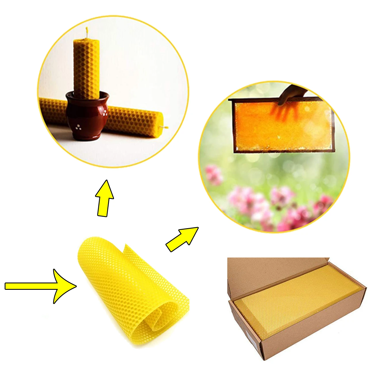 Stainless Steel Beekeeping Solar Wax Melter - 23kg