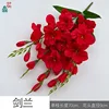 Gladiolus PP Red