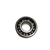 Multicolore