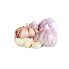 Farm Direct Sales Green 100% Natural Import Fresh Red White Fresh Garlic