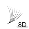 8D