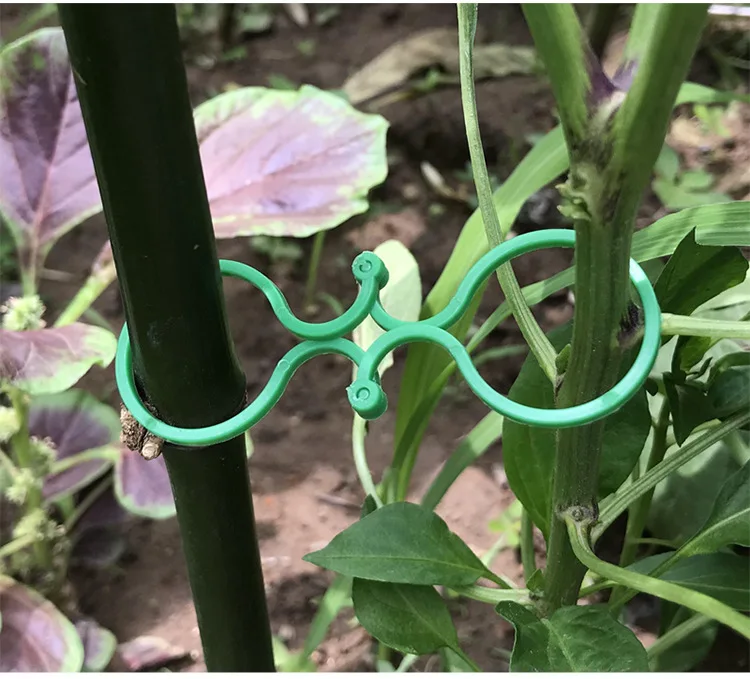 Gardening 8-figure buckle climbing vine tomato cucumber bundle 8-figure buckle plant fixed buckle gourd ring garden tools factory