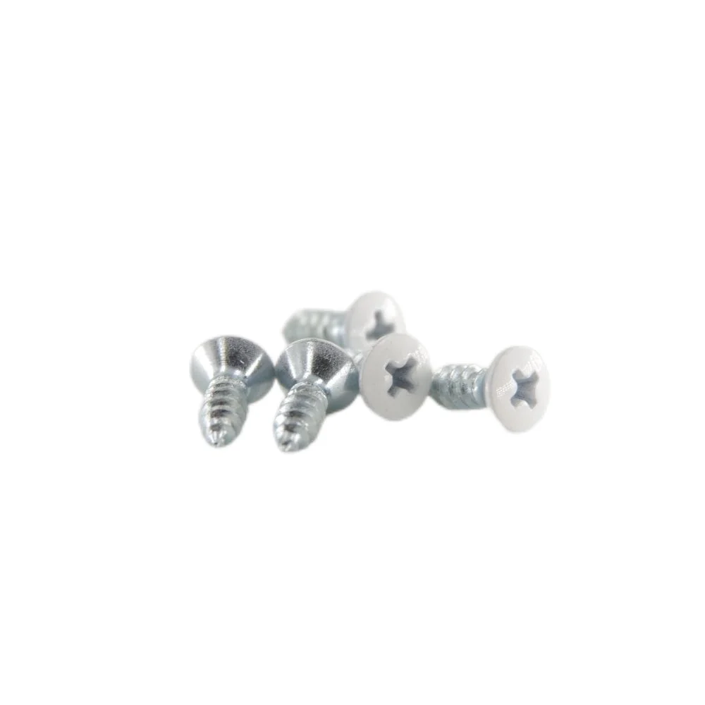 Six-Lobe Flat Head White Painting Screw Stainless Steel Hex Hidden Camera Wall Torx Screw Bolts supplier