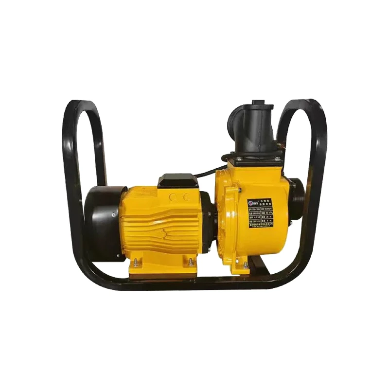 OEM ODM 2200W 3HP DC Large Flow Solar Self-Priming Solar Surface Water Pump for Agricultural Irrigation