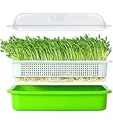 A-ONE Double Layer PP Plastic Not Coated Eco-friendly Nursery Trays Lids Rectangle Sprouting Tray for Pea Mung Bean Wheat Cat factory