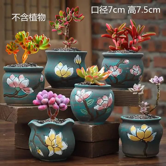 Wholesale Blue Clay Korean Succulent Pots - Custom Flower Pots for Garden