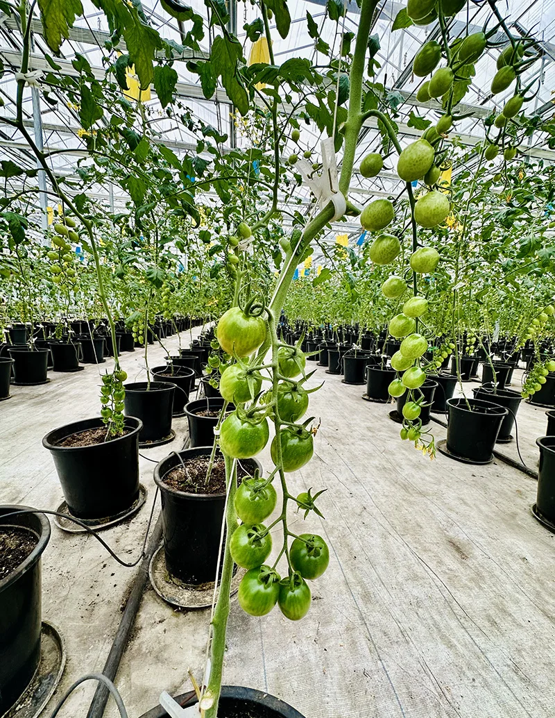 Hf3a0441b78d34adc9550dc944bf74c1c0