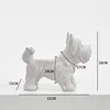 Yorkshire Terrier bianco