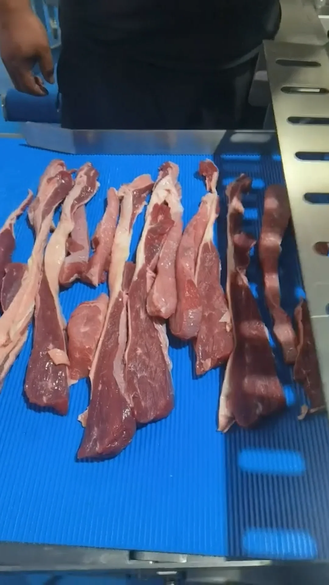 Fully Automatic Commercial Food Grinder Frozen Sheep Meat Machine Meat