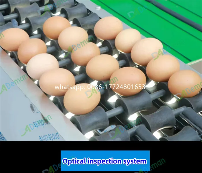 High Quality Egg Sorter Sizer Classifier Duck Egg Weight Grader Machine ...