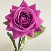 08-fucsia