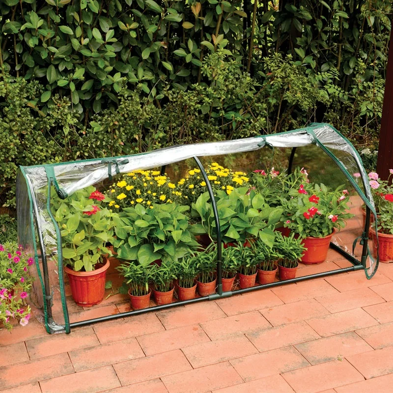 Seedling Cloche, Garden Greenhouse