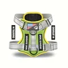 Grass Green with Gray Band