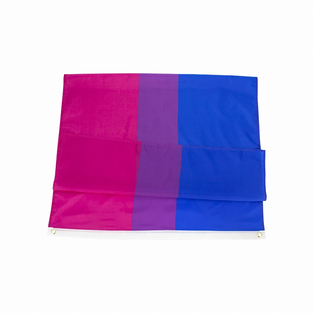 Flaglink Asexual Pride Flagge 90 X 150 Cm – LGBTQIA Regenbogen-Banner Für Garten, Party & Demo