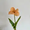 Un tulipán naranja en flor