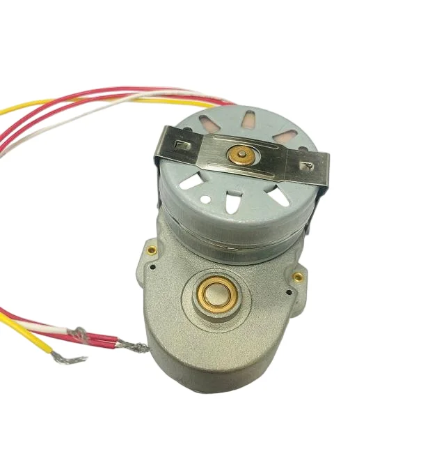 Egg Device Rotating Motor, 1RPH, Synchronous Motor - detail 4