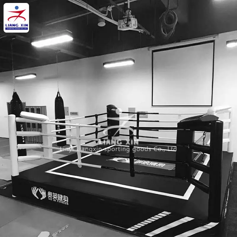 プロタイキックボクシングリングボクシングチャンピオンシップ