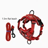 Conjunto de correa roja