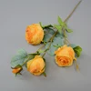 Giallo