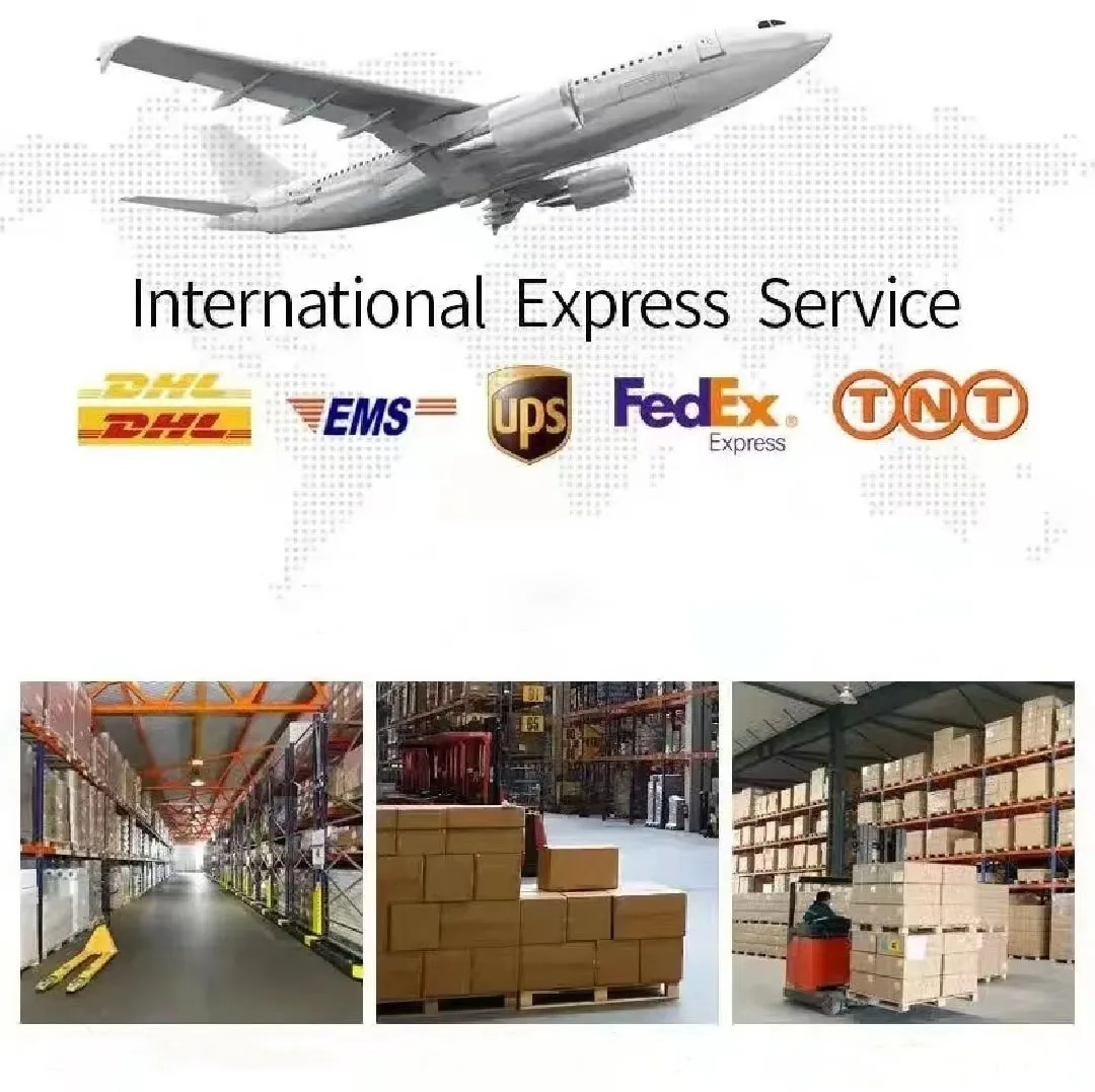 Dl380gen11 Hpe Server DL380Gen11 2u Rack Server System Dl380 Gen10 for HPE