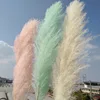 40-50cm feather