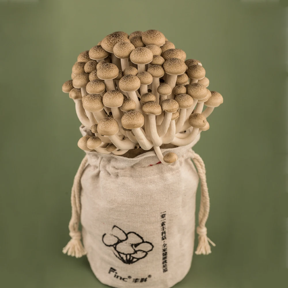 Hot Sale Chinese 3kg Shimeji Fresh Mushrooms