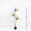 Planta de Agave en Maceta Miniatura de 150 cm (3 tallos) con Punta Roja