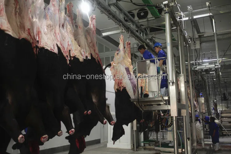 Pneumatic cattle killing box for cattle slaughtering line at modern Abattoir factory
