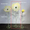 Yellow single bloom-80 cm