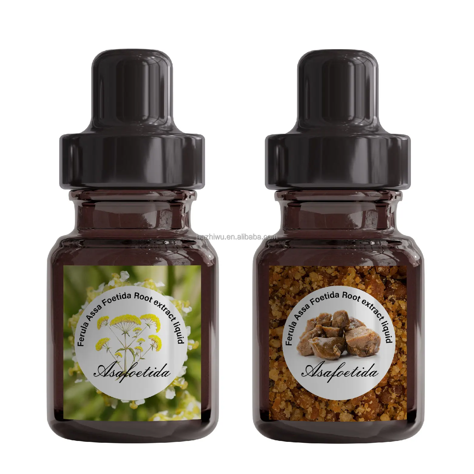 Huaqing Supply Asafoetida Liquid Extract Ferula Assa Foetida Root