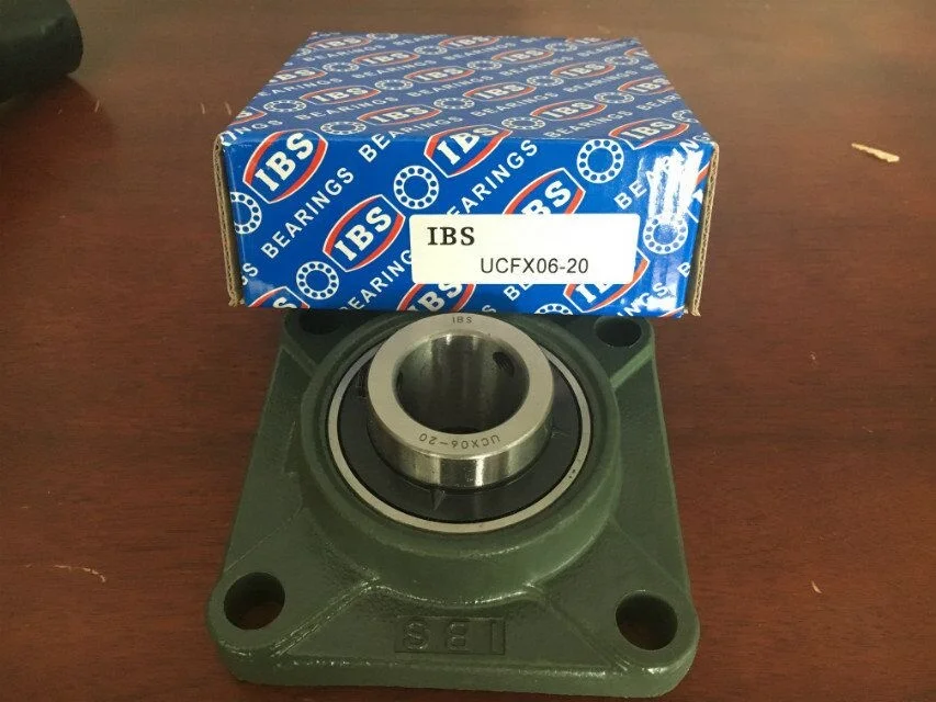 Original IBS Pillow Block Bearing Housing Unit FX06 UCX06 UCFX06