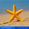 Style12_68cm orange starfish