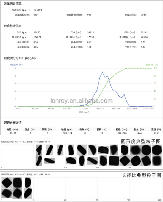 Portable Dynamic Image Grain Size Analyzer with 10-2500 μm Measurement Range and 8-inch Color Screen