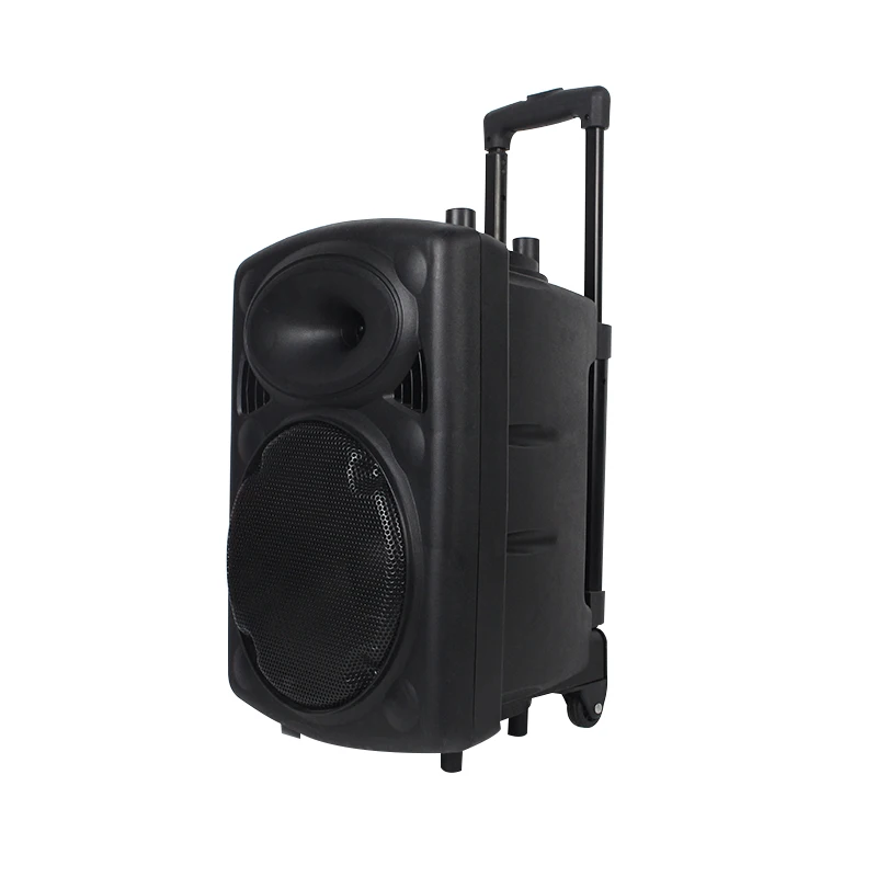 10 Inch Multi Media Wireless Trolly Speaker Dj Portable Trolley Speaker System With Replaceable Battery