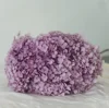 Rosa Viola/Ramo