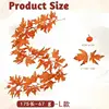 1.75m - L size