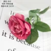 Rose Red