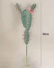 60 cm